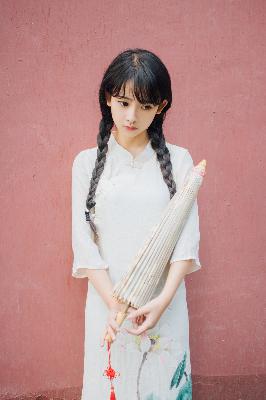 继承者们电视剧全集免费观看