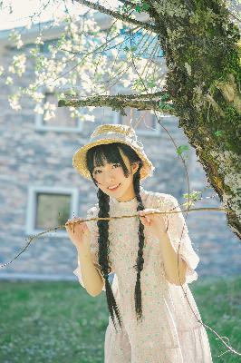 海贼王动漫全集在线观看免费版